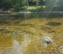 20160825_164505