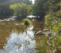 20160825_164509