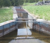 dobsondam1