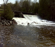 dobsondam3