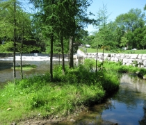 quance-dam25