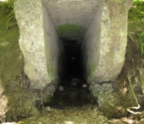 quance-dam33