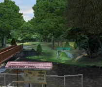 camera14