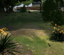 Camera_8